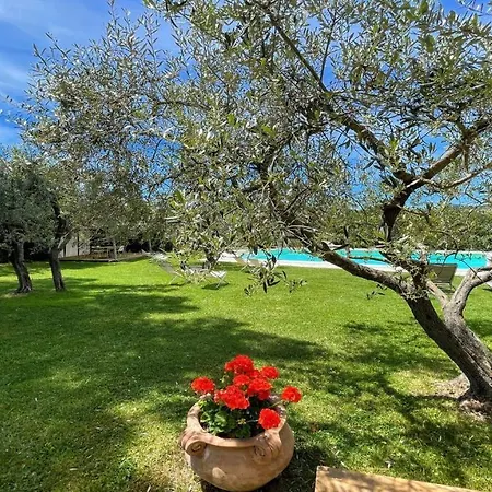 Villa Holiday In Italy S Finest Wine And Truffle Area With An Exc Pool Fantastic