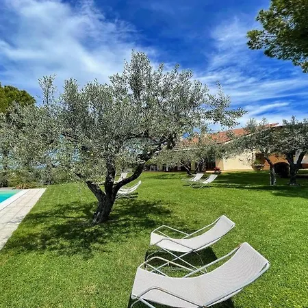Holiday In Italy S Finest Wine And Truffle Area With An Exc Pool Fantastic Villa *