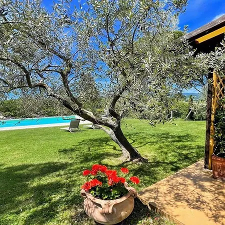 Holiday In Italy S Finest Wine And Truffle Area With An Exc Pool Fantastic * Belvedere (Perugia)